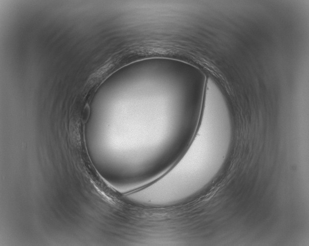 X0000058800489200509300918
