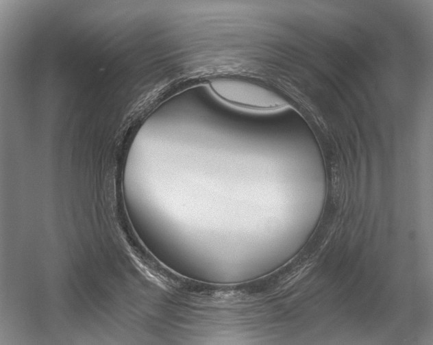 X0000058800493200509300918