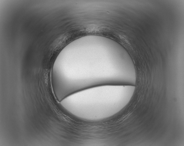 X0000058800495200509300918