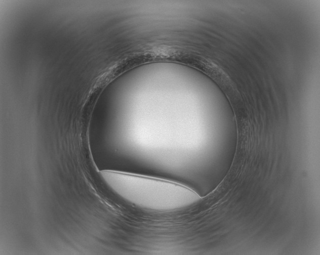 X0000058800496200509300918