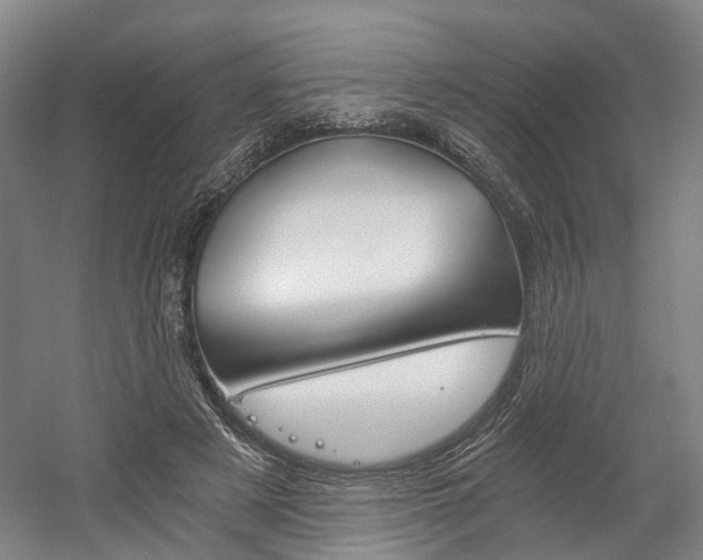 X0000058800497200509300918