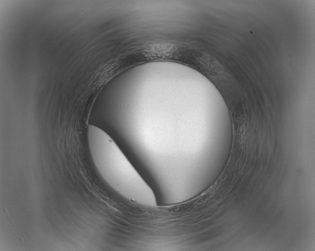 X0000058800498200509300918