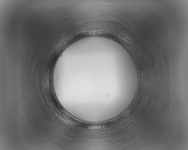 X0000058800499200509300918