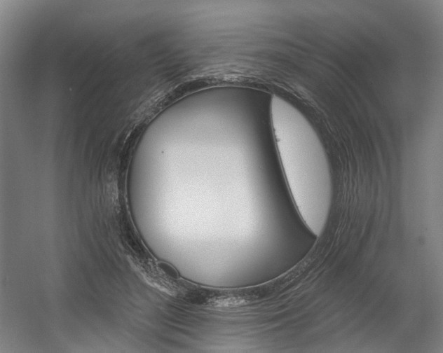 X0000058800500200509300918