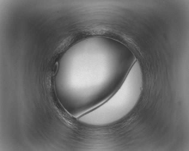 X0000058800501200509300918