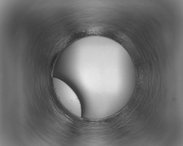 X0000058800502200509300918