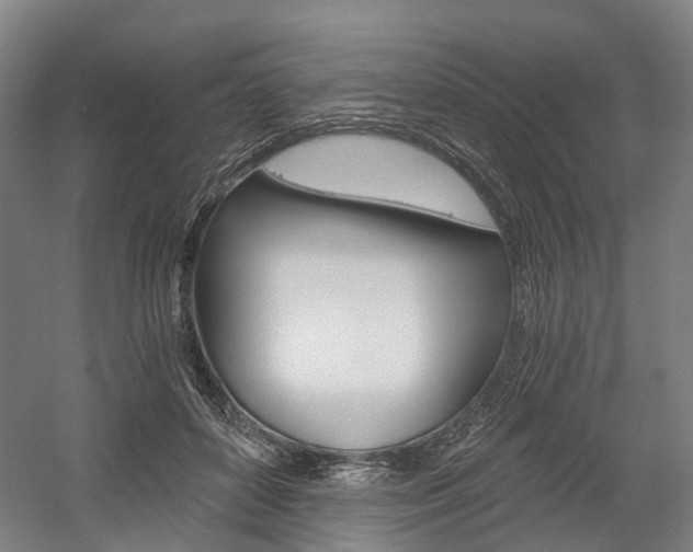 X0000058800504200509300918