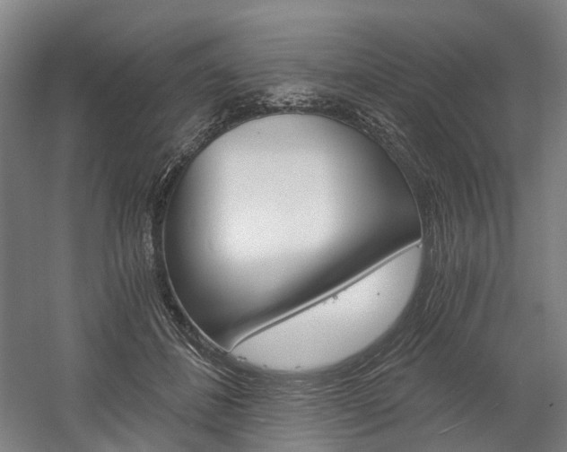 X0000058800508200509300918