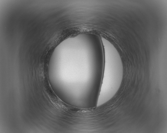X0000058800512200509300917