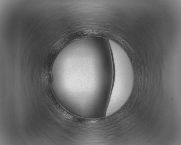 X0000058800513200509300917