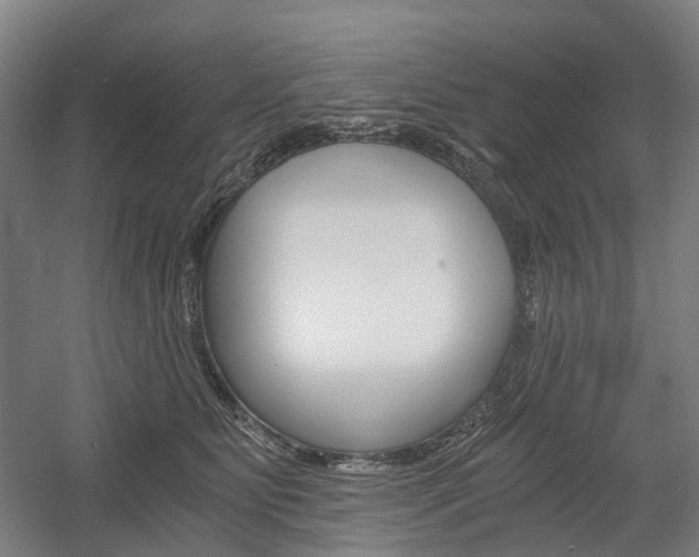 X0000058800515200509300917