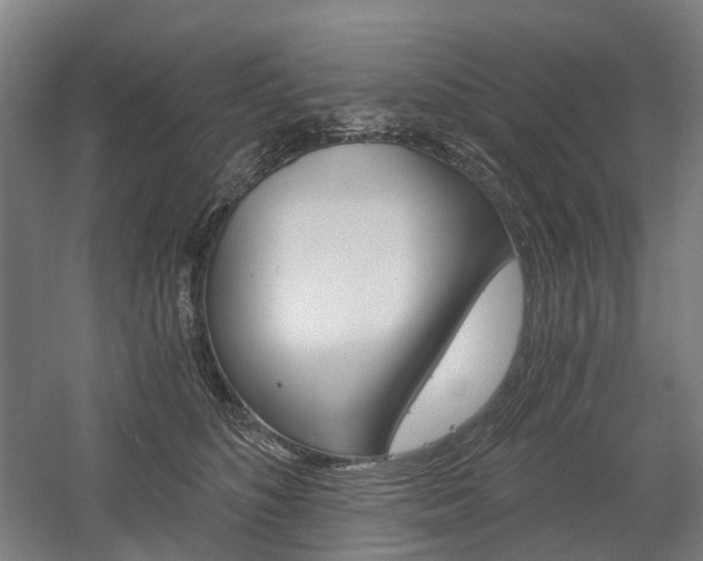 X0000058800516200509300917