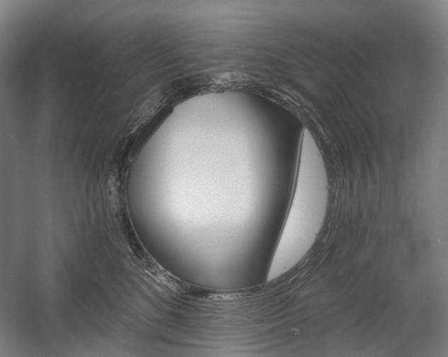 X0000058800520200509300917