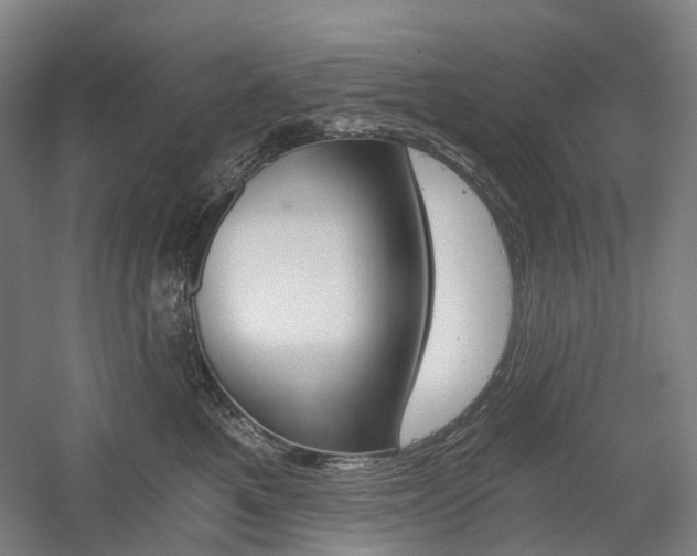 X0000058800521200509300917
