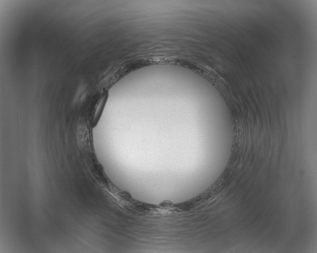 X0000058800523200509300917
