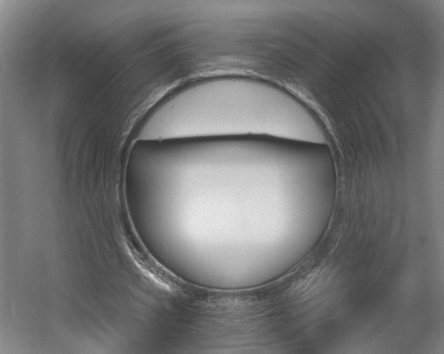 X0000058800533200509300916