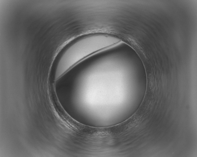 X0000058800536200509300917