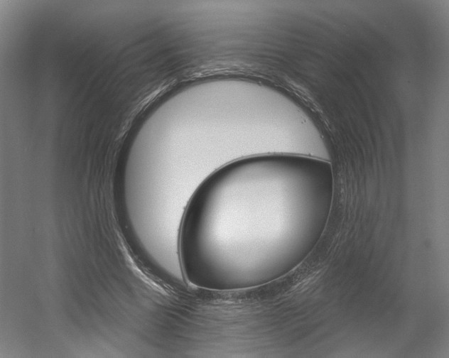 X0000058800538200509300917