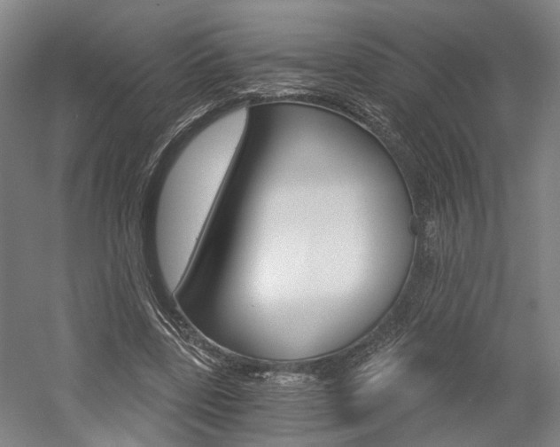 X0000058800539200509300917