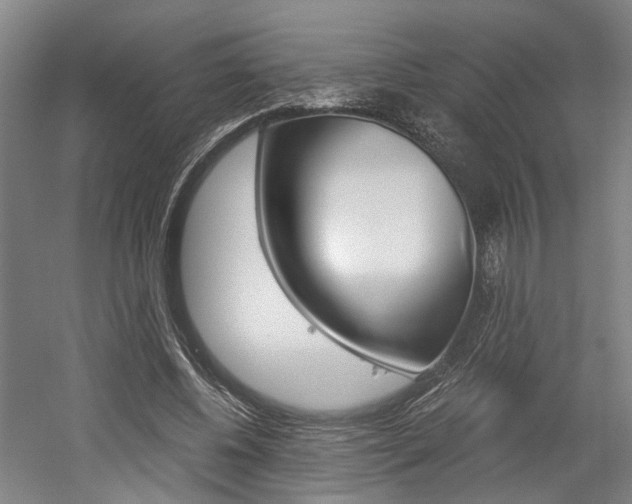 X0000058800540200509300917