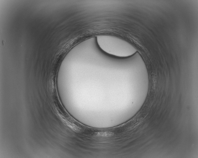 X0000058800541200509300917