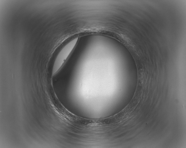 X0000058800544200509300917