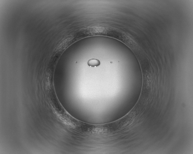 X0000058800546200509300917