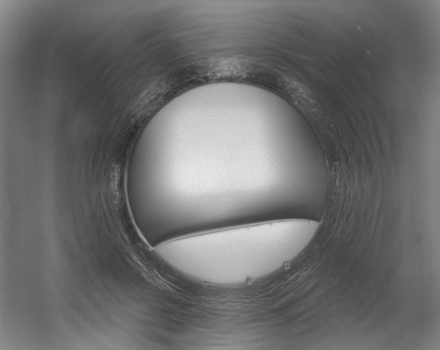 X0000058800550200509300917