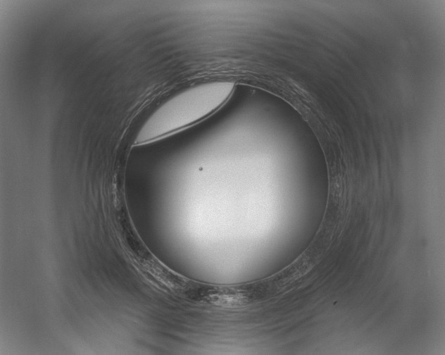 X0000058800552200509300917