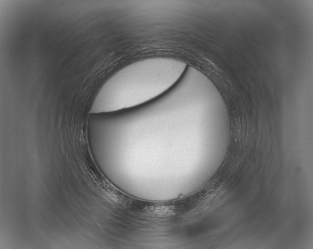 X0000058800553200509300917