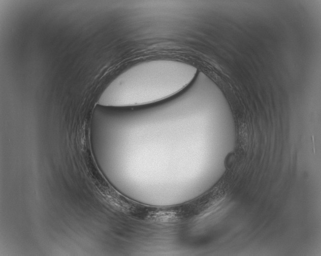 X0000058800554200509300917