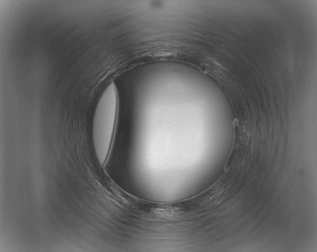 X0000058800556200509300917