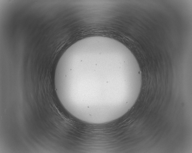 X0000058800560200509300917