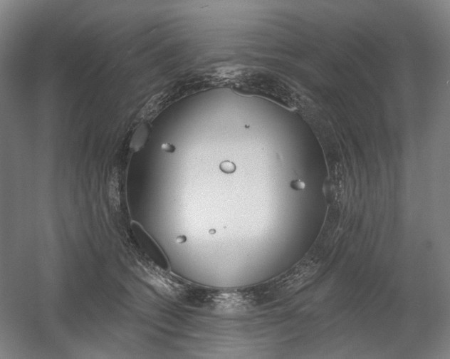 X0000058800562200509300917