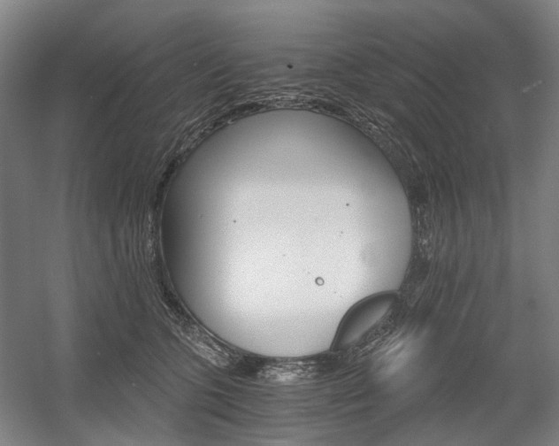 X0000058800563200509300917
