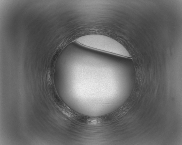 X0000058800564200509300917