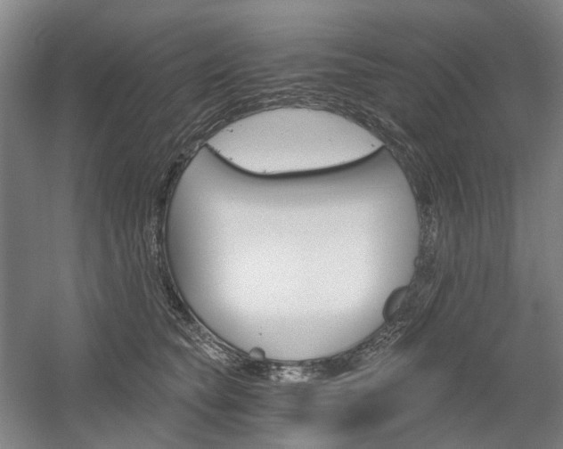 X0000058800565200509300917