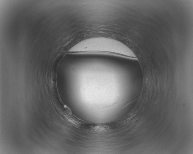 X0000058800566200509300917