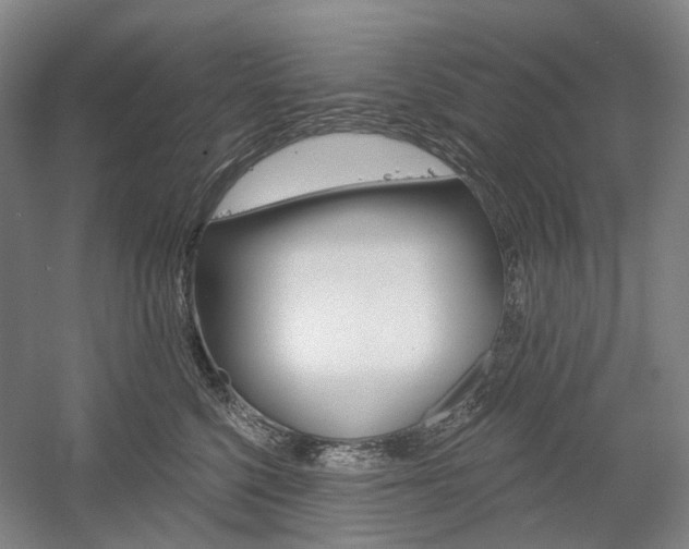 X0000058800568200509300917
