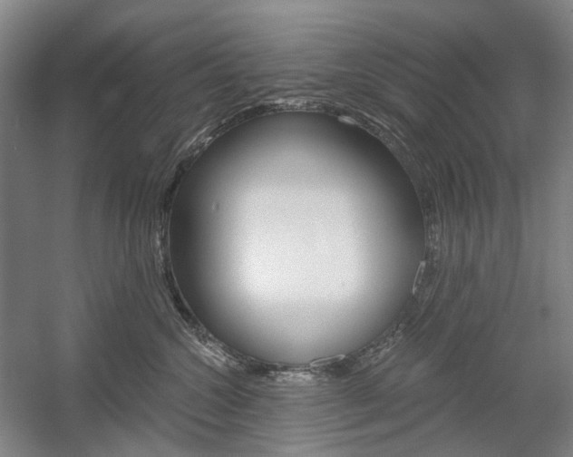 X0000058800572200509300917