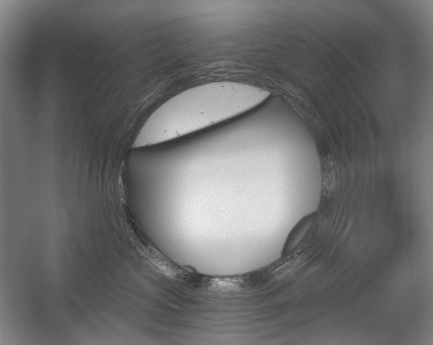 X0000058800573200509300917