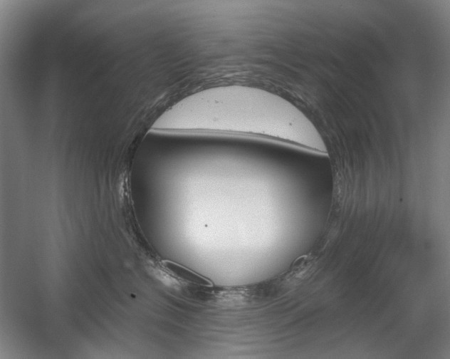 X0000058800574200509300917