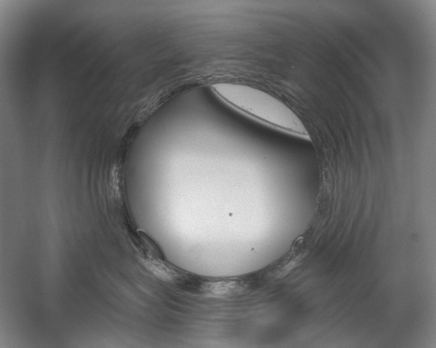 X0000058800575200509300917