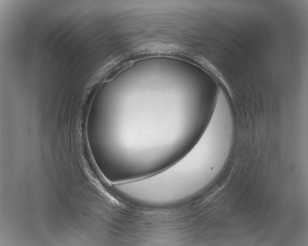 X0000058800581200509300916