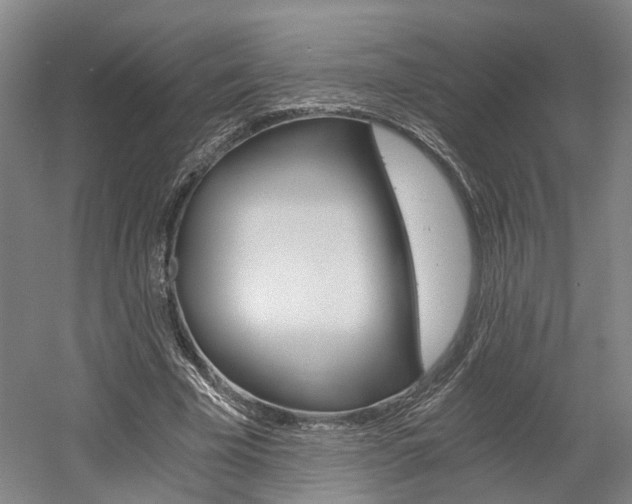X0000058800585200509300916
