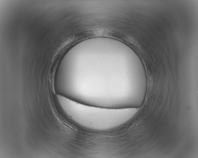 X0000058800587200509300916