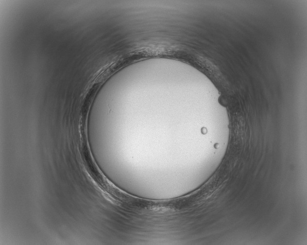 X0000058800590200509300916