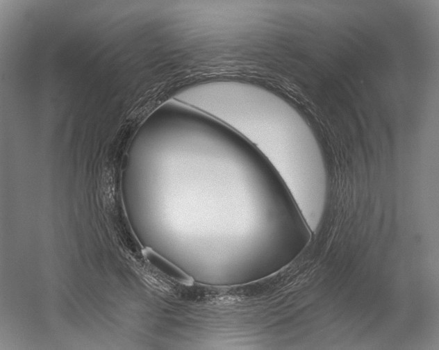 X0000058800593200509300916