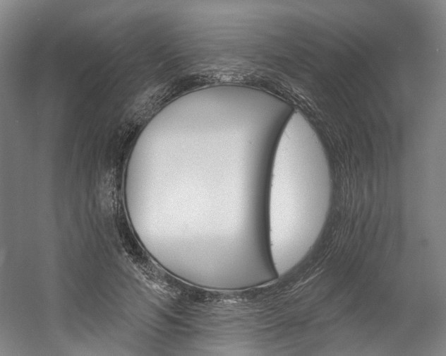 X0000058800594200509300916