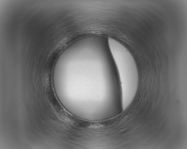 X0000058800595200509300916